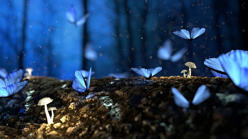 Enchanted Forest Hideaways